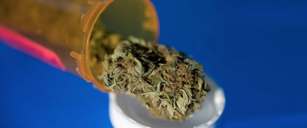 Las aplicaciones medicinales del cannabis