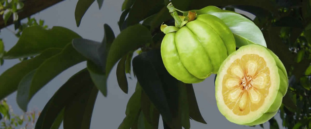 Las verdades ‘adelgazantes’ de la garcinia cambogia