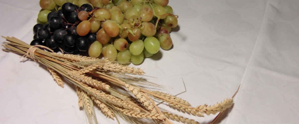 Uvas y trigo: tradiciones saludables para su año
