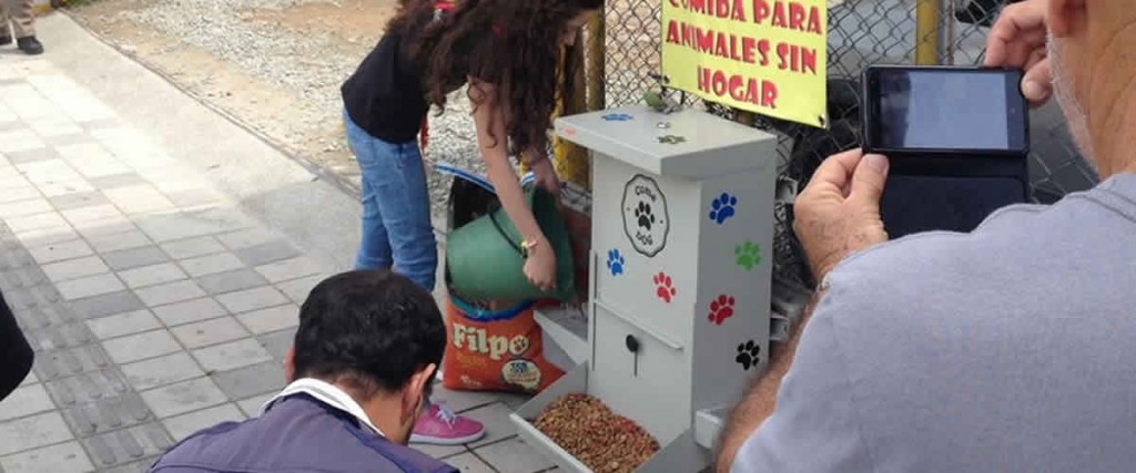 Motívese a darle de comer a un ‘animalito’ callejero